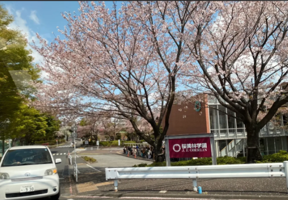 名樱大学运动健康专业录取标准2026 名樱大学本科留学生招生要求2026