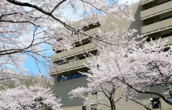 名樱大学运动健康专业录取标准2026 名樱大学本科留学生招生要求2026