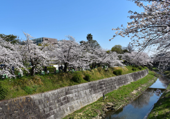 名古屋市立大学心理教育学科录取标准2026 名古屋市立大学本科留学生招生要求2026