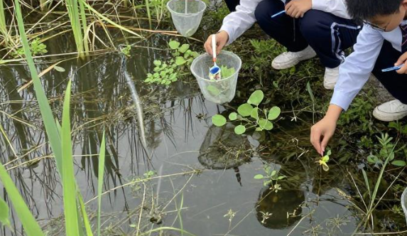 2026 鲁北苇荡湿地如何简化采样流程用于校园自然观察课？