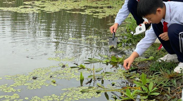 2026 鲁北苇荡湿地如何简化采样流程用于校园自然观察课？