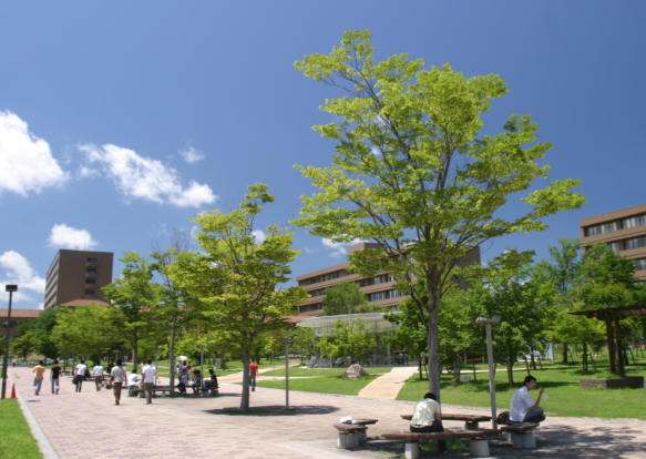 广岛大学机械物理专业录取标准2026 广岛大学本科留学生招生要求2026