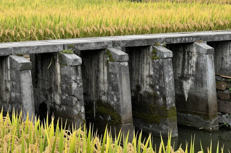 2026 浙西古堰灌区如何依托古代水利遗存设计探究学习? 2026 浙西古堰灌区如何依托古代水利遗存设计探究学习?