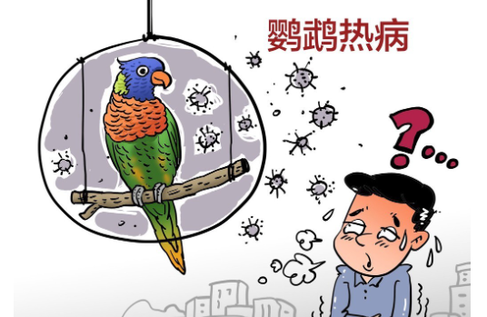 广东一病例高烧不退潜伏45天 多种家禽也可以传播此病