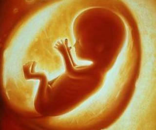 什么是场意识？场意识与胎儿有什么关系？