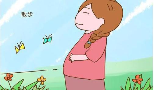 准妈妈小贴士： 孕期注意事项有哪些?