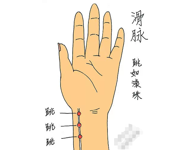 掐中指测怀孕准吗?怎样掐中指测怀孕