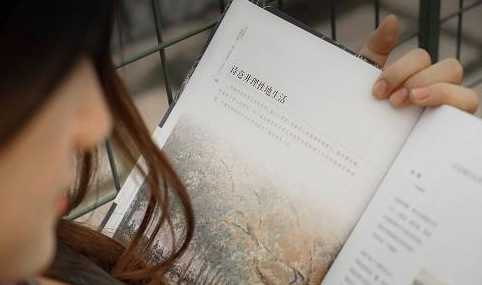 成人高考和网络教育有什么区别？