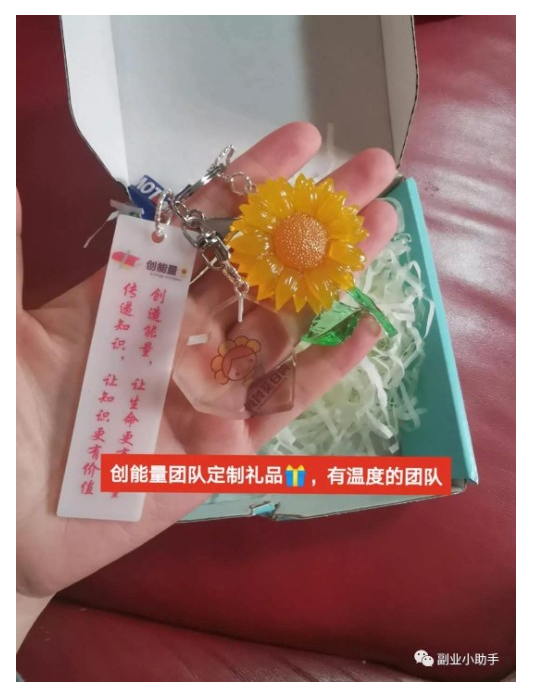 一篇文章带你读懂向日葵妈妈的小事业