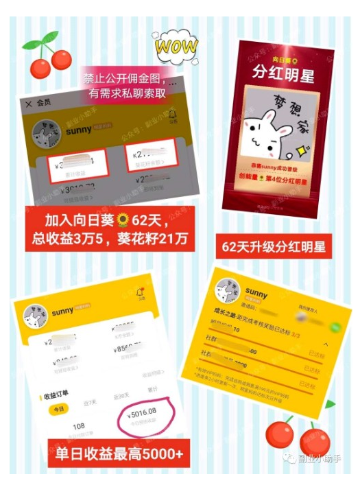 一篇文章带你读懂向日葵妈妈的小事业