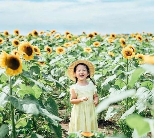 日本一妈妈给孩子拍摄的照片，走红了“朋友圈”，来看看他的构图、用光就知道了