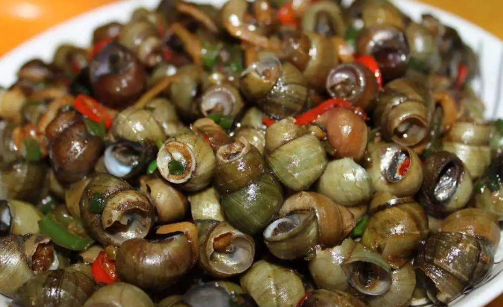 不知道你是否喜欢吃螺蛳,螺蛳作为老百姓餐桌上一道美味的河鲜受到