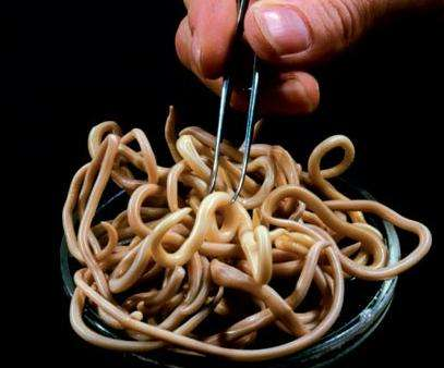 蛔虫面是哪里的特色?