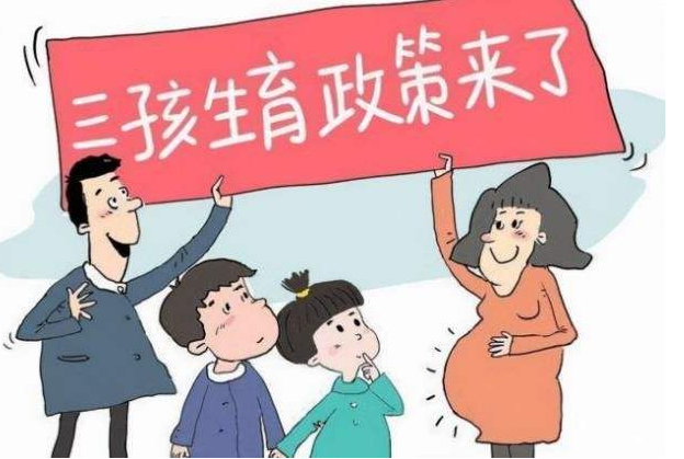 人大代表建议尽快全面放开生育三胎政策的颁布意味着什么