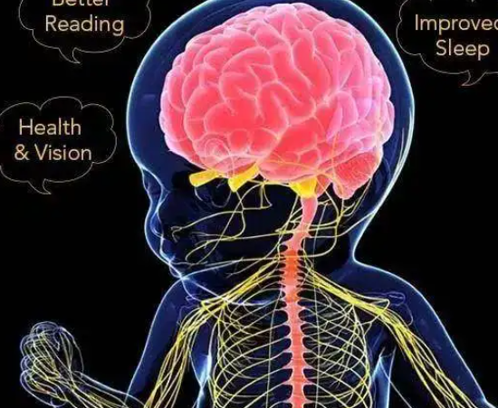 早期如何促进孩子的大脑发育?(促进孩子大脑发育做好这六点!