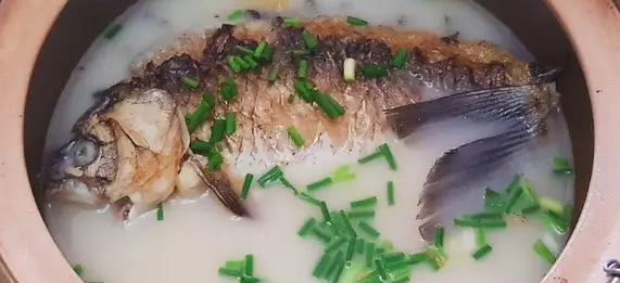 孕婦鯽魚湯的做法是怎樣的(孕婦鯽魚湯怎麼燉好喝又營養)