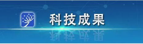 天津大学石墨烯研究取得突破 有望为高性能电子器件制造开辟新道路