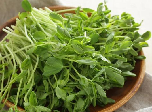 孕妇在春天哪些春菜需焯水?2024最适合孕妇的春天春菜食谱 孕妇在春天哪些春菜需焯水?2024最适合孕妇的春天春菜食谱