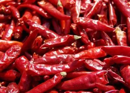 吃辣椒到底是好是坏 尖辣椒可以长期吃吗