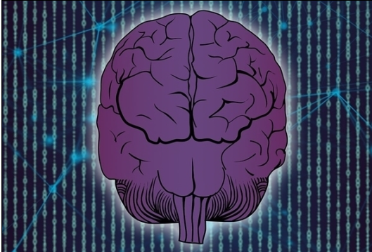 盲视技术已在猴子身上见效 最终可能会超过正常人的视力 盲视技术已在猴子身上见效 最终可能会超过正常人的视力