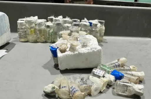 北京大兴机场海关查获57瓶寄生虫 据旅客称是用于实验用的 北京大兴机场海关查获57瓶寄生虫 据旅客称是用于实验用的