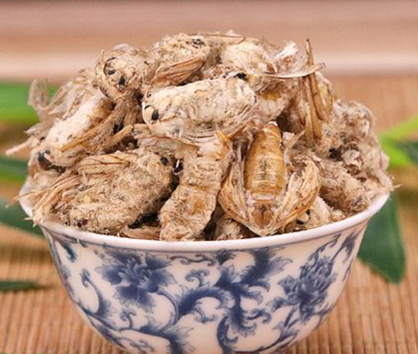 雄蚕蛾的药用价值有哪些 服用雄蚕蛾对中年男人有什么好处