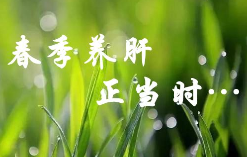 早春孩子吃什么可以养肝护肝?2026早春最适合孩子的养肝食谱推荐