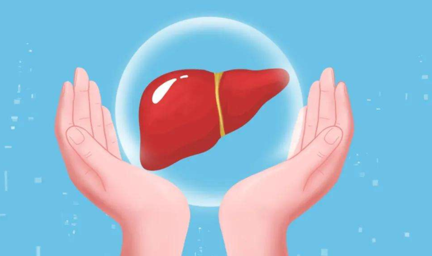 早春孩子吃什么可以养肝护肝?2026早春最适合孩子的养肝食谱推荐 早春孩子吃什么可以养肝护肝?2026早春最适合孩子的养肝食谱推荐