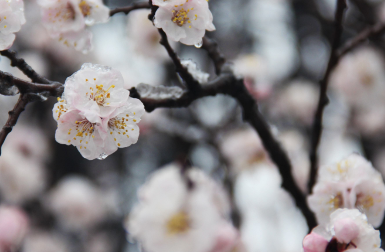 2024年倒春寒如何预防宝宝感冒发烧?春季防小儿感冒祛风同时要祛湿 2024年倒春寒如何预防宝宝感冒发烧?春季防小儿感冒祛风同时要祛湿