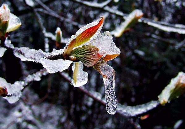 2024年倒春寒如何预防宝宝感冒发烧?春季防小儿感冒祛风同时要祛湿 2024年倒春寒如何预防宝宝感冒发烧?春季防小儿感冒祛风同时要祛湿