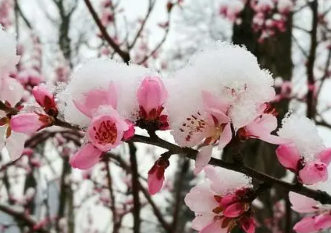 2024年倒春寒如何预防宝宝感冒发烧?春季防小儿感冒祛风同时要祛湿 2024年倒春寒如何预防宝宝感冒发烧?春季防小儿感冒祛风同时要祛湿