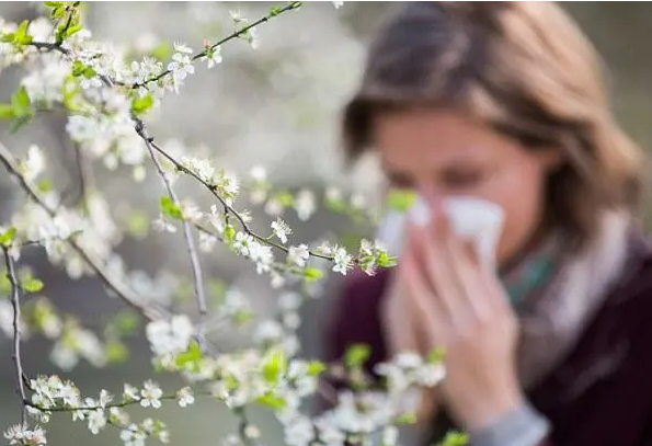 过敏性鼻炎高发季节到了，2022春季如何预防过敏性鼻炎？
