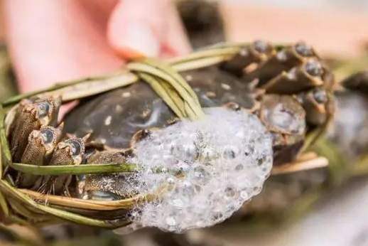 螃蟹死了多久不能吃了(吃了死螃蟹需要洗胃吗) 螃蟹死了多久不能吃了(吃了死螃蟹需要洗胃吗)