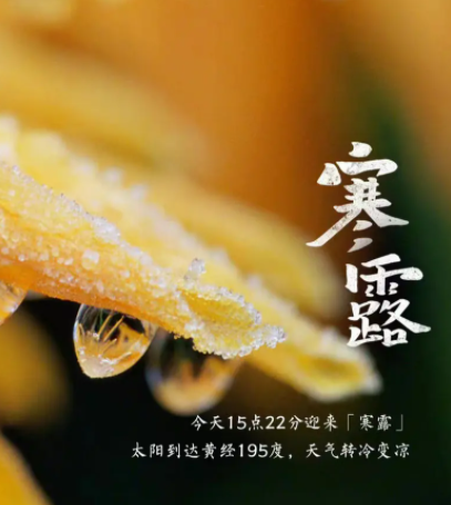 寒露养生多吃芝麻靠谱吗(寒露养生食谱推荐2025)