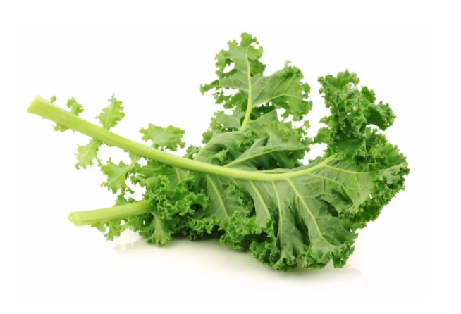 羽衣甘蓝叶子可以生吃吗?2026羽衣甘蓝叶子好吃健康的做法