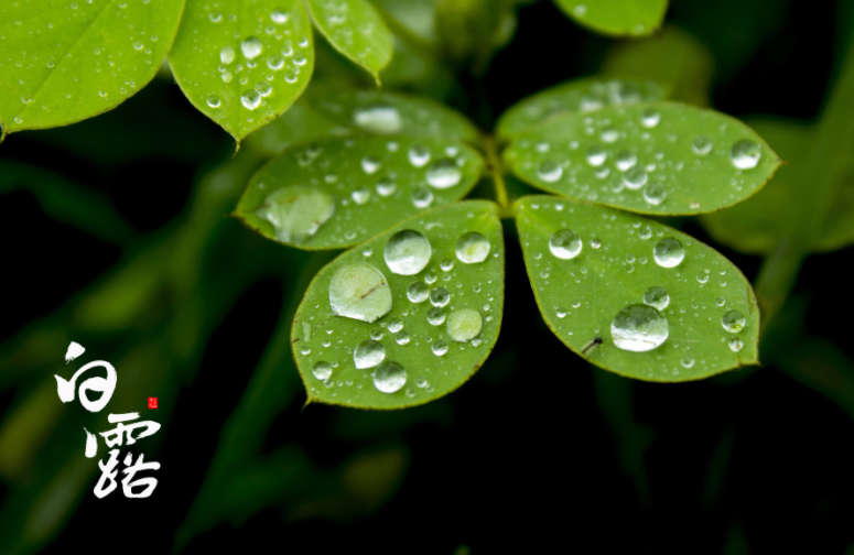 寒露后早晚添衣北方以晴天为主，昼夜温差较大最低气温不足20℃