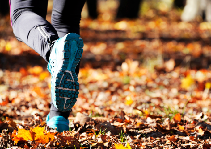 秋季运动减重何时效率高?秋季减重该选哪种运动方法?