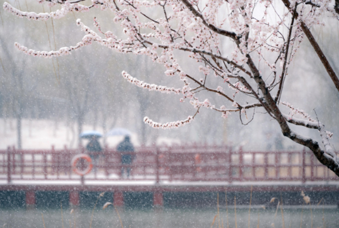 我国大部持续升温昼夜温差增大，11月中东部雨雪稀少需防燥