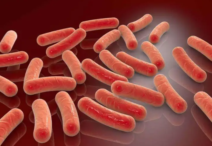 2026春节出行非必要不前往疫区!目前尼帕病毒疫区有哪些?