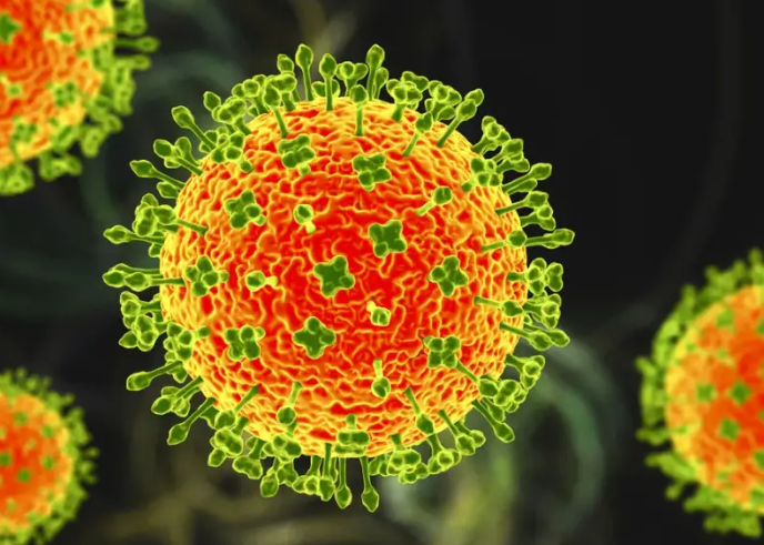 2026春节出行非必要不前往疫区!目前尼帕病毒疫区有哪些?