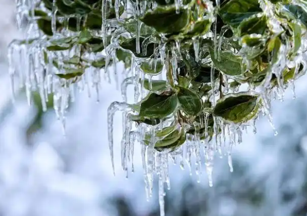 2月最冷时刻表来了!2026年春节后会回暖吗? 2月最冷时刻表来了!2026年春节后会回暖吗?